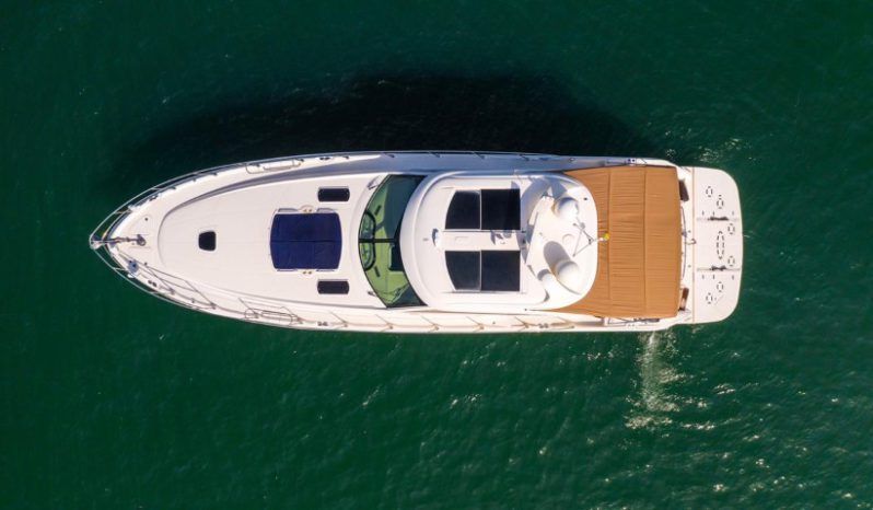 
								SEA RAY SUNDANCER 62 full									
