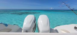 
										INTERMARINE 35 full									