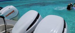 
										INTERMARINE 35 full									