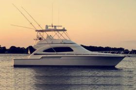 BERTRAM CONVERTIBLE 51