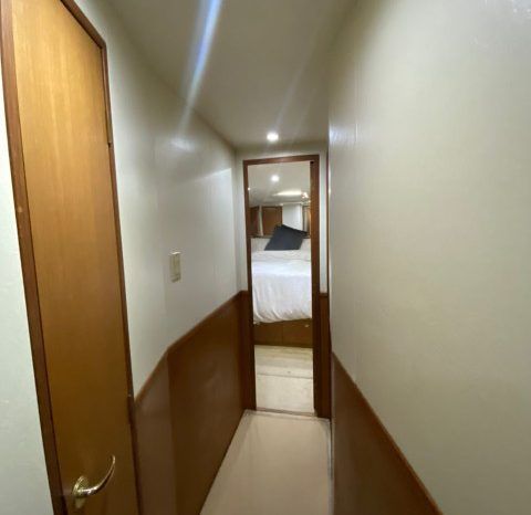 
								VIKING SPORT 61.8 full									