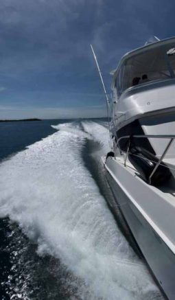 
										SILVERTON CONVERTIBLE 45 full									