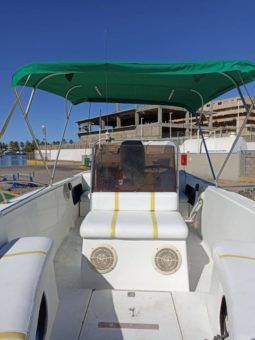 
										PROFINA OPEN 21 full									