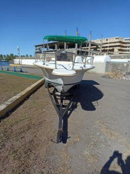 
										PROFINA OPEN 21 full									