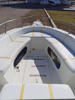 
										PROFINA OPEN 21 full									