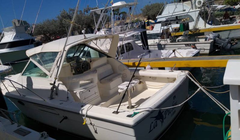 
								TIARA OPEN 29 full									