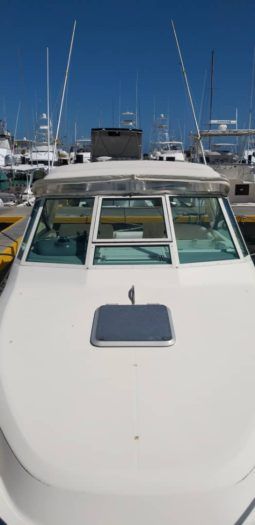 
										TIARA OPEN 29 full									