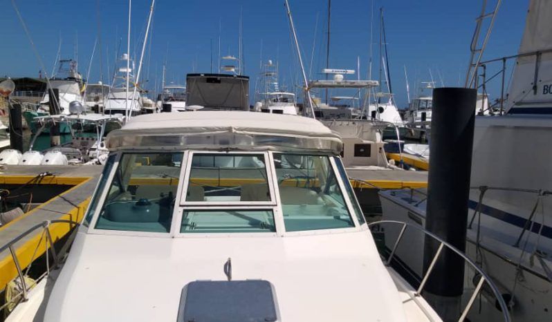 
								TIARA OPEN 29 full									