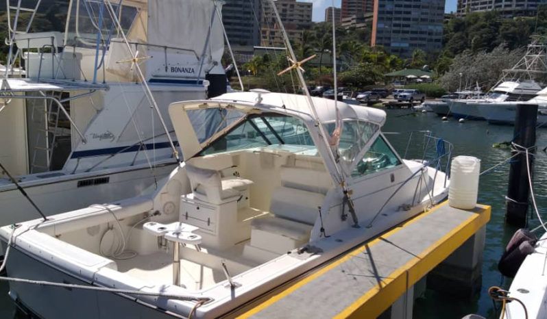 
								TIARA OPEN 29 full									