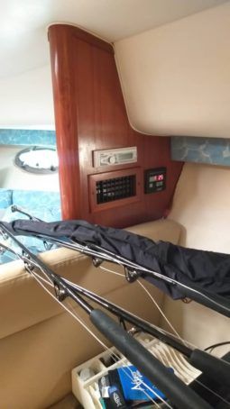 
										TIARA OPEN 29 full									