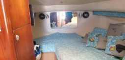 
										TIARA OPEN 29 full									