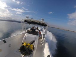 
										RENEGADE SPORT FISHERMAN CUDDY 33 full									