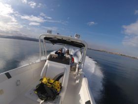 RENEGADE SPORT FISHERMAN CUDDY 33