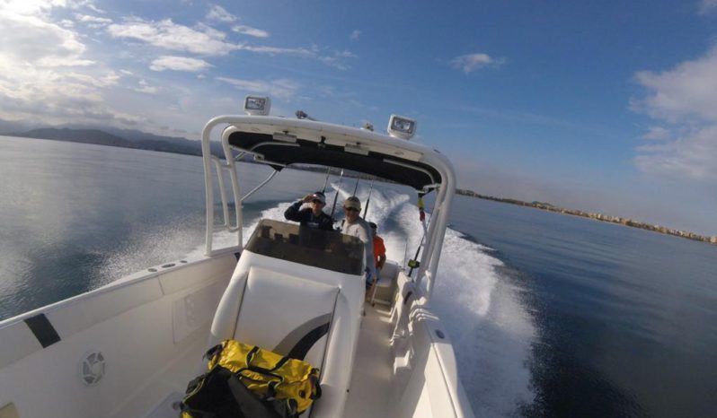 
								RENEGADE SPORT FISHERMAN CUDDY 33 full									