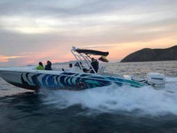 
										RENEGADE SPORT FISHERMAN CUDDY 33 full									