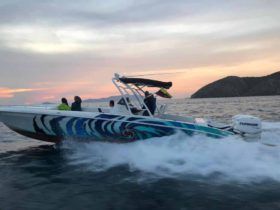 RENEGADE SPORT FISHERMAN CUDDY 33