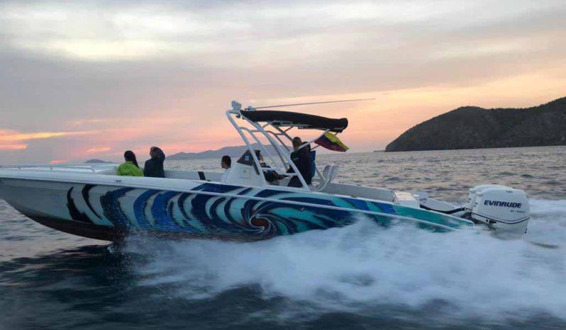 
								RENEGADE SPORT FISHERMAN CUDDY 33 full									