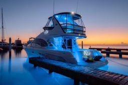 
										SEA RAY SEDAN BRIDGE 45 full									