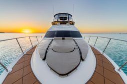 
										SEA RAY SEDAN BRIDGE 45 full									