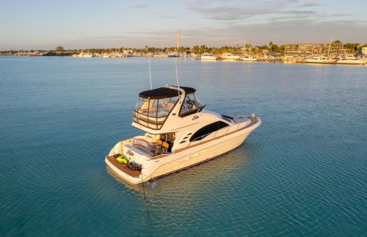 
								SEA RAY SEDAN BRIDGE 45 full									