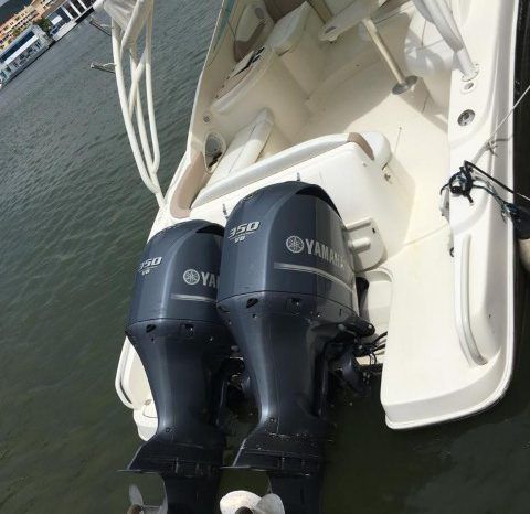 
								PROMARINE EXPRESS 34 full									