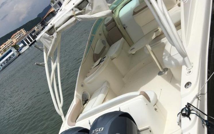 
								PROMARINE EXPRESS 34 full									