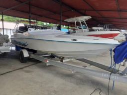 
										CHALLENGER 22 full									
