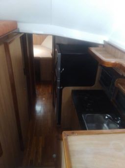 
										BERTRAM SEDAN CONVERTIBLE 42 full									