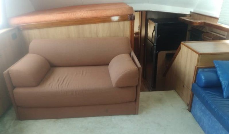 
								BERTRAM SEDAN CONVERTIBLE 42 full									