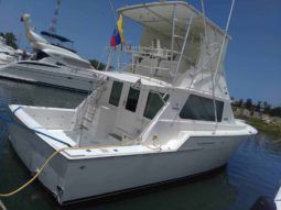 
										BERTRAM SEDAN CONVERTIBLE 42 full									