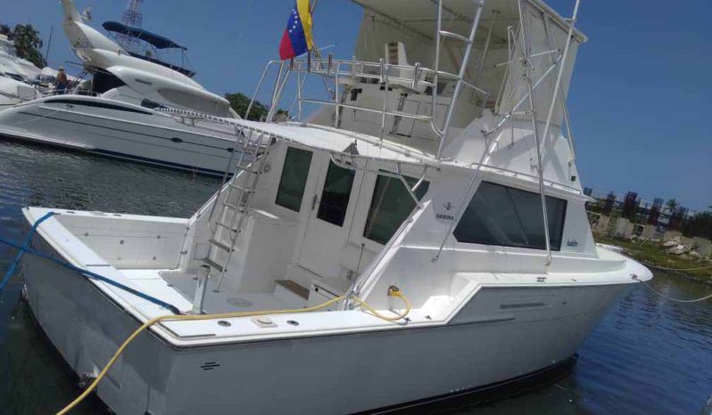 
								BERTRAM SEDAN CONVERTIBLE 42 full									