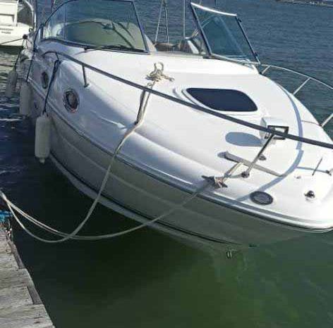 
								SEA RAY 24 full									