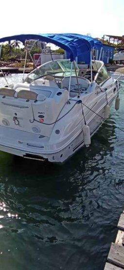 
										SEA RAY 24 full									