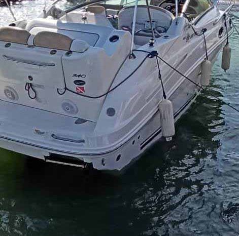 
								SEA RAY 24 full									