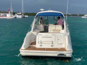 SEA RAY SUNDANCER 33