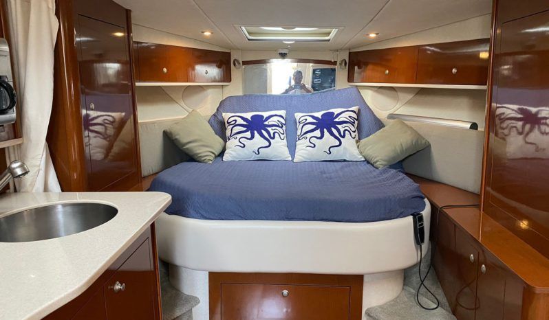 
								SEA RAY SUNDANCER 33 full									