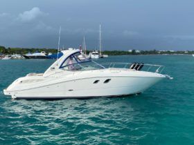 SEA RAY SUNDANCER 33
