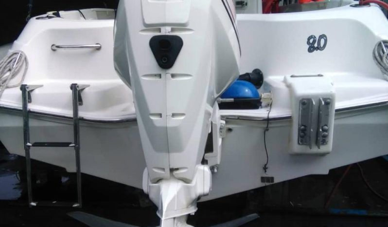
								MOTOR EVINRUDE ETEC 130HP full									