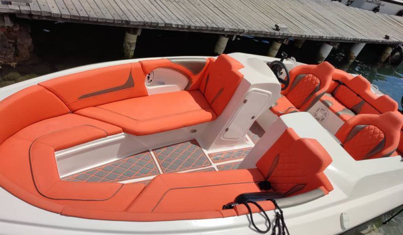 
								VELOCITY OPEN 21 full									