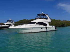 SEA RAY SEDAN BRIDGE 44