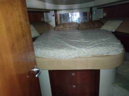 
										SEA RAY SEDAN BRIDGE 44 full									
