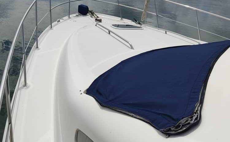 
								SEA RAY SEDAN BRIDGE 44 full									