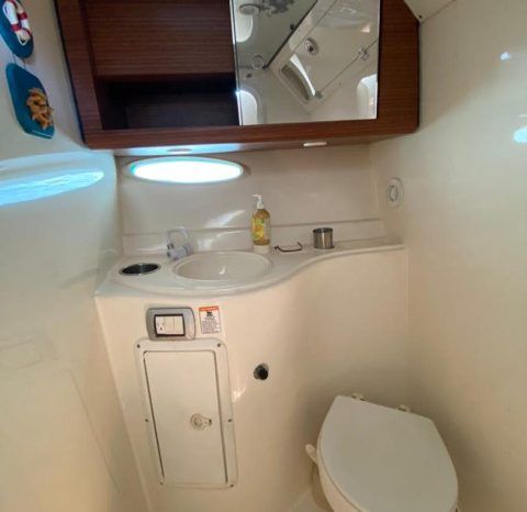 
								PROMARINE EXPRESS 34 full									