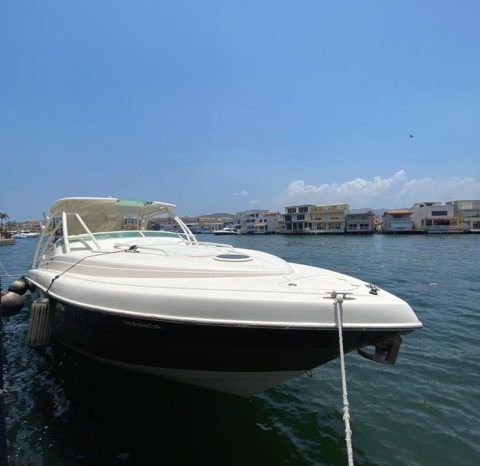 
								PROMARINE EXPRESS 34 full									