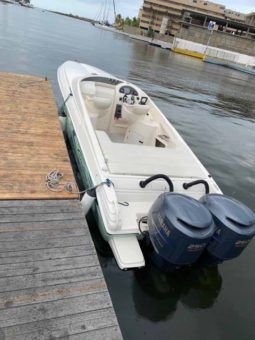 
										PROMARINE 33 1000 SS full									
