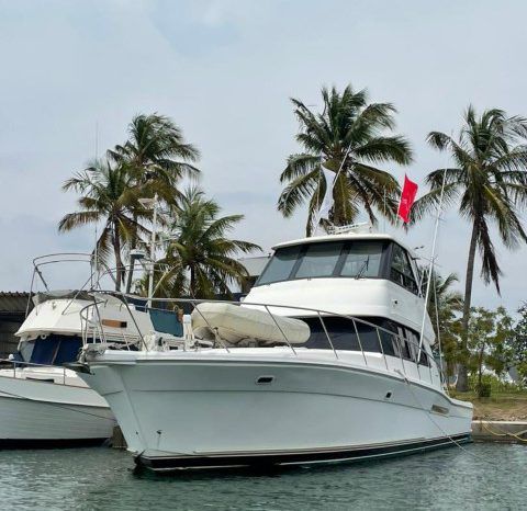 
								RIVIERA 48 full									