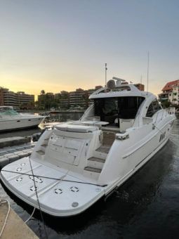
										SEA RAY SUNDANCER 60 full									