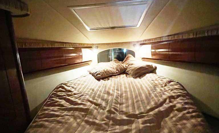 
								SEA RAY SUNDANCER 44 full									