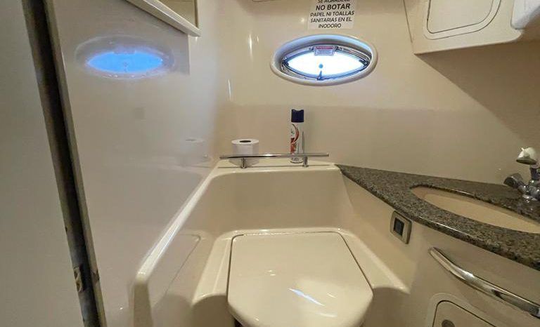 
								SEA RAY SUNDANCER 44 full									