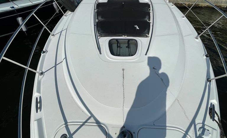 
								SEA RAY SUNDANCER 44 full									